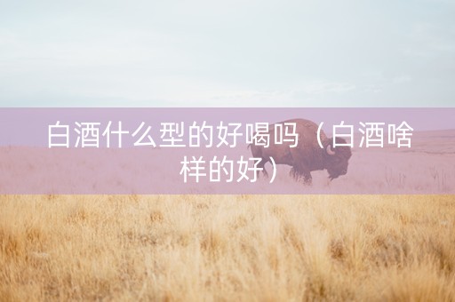 白酒什么型的好喝吗（白酒啥样的好）