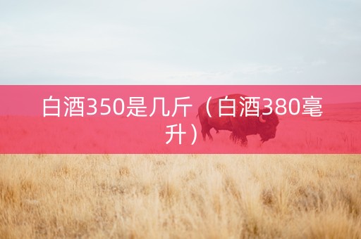 白酒350是几斤（白酒380毫升）