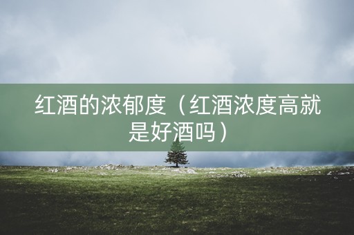 红酒的浓郁度(红酒浓度高就是好酒吗) 红酒的浓郁度(红酒浓度高就是好酒吗)