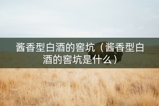 酱香型白酒的窖坑(酱香型白酒的窖坑是什么) 酱香型白酒的窖坑(酱香型白酒的窖坑是什么)