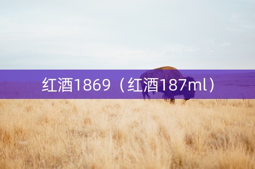 红酒1869(红酒187ml) 红酒1869(红酒187ml)