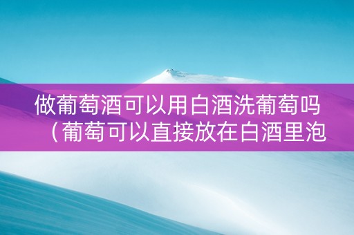 做葡萄酒可以用白酒洗葡萄吗(葡萄可以直接放在白酒里泡吗?)