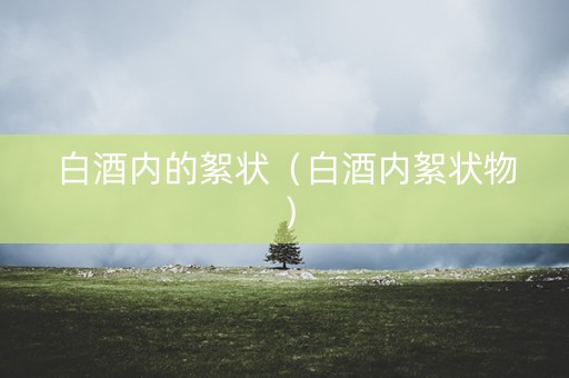 白酒内的絮状(白酒内絮状物)