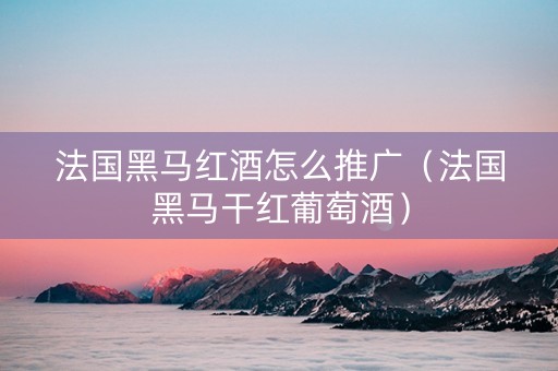 法国黑马红酒怎么推广(法国黑马干红葡萄酒) 法国黑马红酒怎么推广(法国黑马干红葡萄酒)