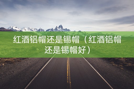 红酒铝帽还是锡帽（红酒铝帽还是锡帽好）