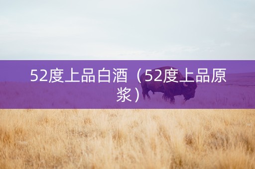 52度上品白酒(52度上品原浆) 52度上品白酒(52度上品原浆)