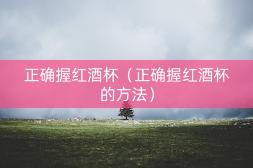 正确握红酒杯(正确握红酒杯的方法) 正确握红酒杯(正确握红酒杯的方法)