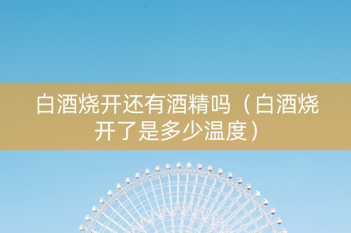白酒烧开还有酒精吗(白酒烧开了是多少温度) 白酒烧开还有酒精吗(白酒烧开了是多少温度)