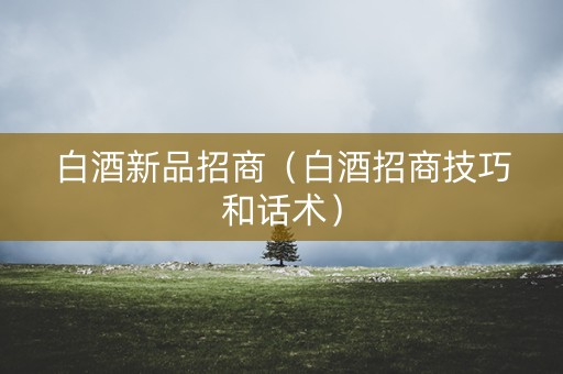 白酒新品招商(白酒招商技巧和话术) 白酒新品招商(白酒招商技巧和话术)