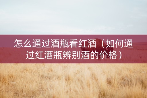 怎么通过酒瓶看红酒(如何通过红酒瓶辨别酒的价格) 怎么通过酒瓶看红酒(如何通过红酒瓶辨别酒的价格)