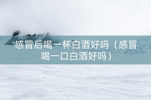 感冒后喝一杯白酒好吗(感冒喝一口白酒好吗) 感冒后喝一杯白酒好吗(感冒喝一口白酒好吗)