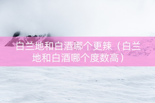白兰地和白酒哪个更辣(白兰地和白酒哪个度数高) 白兰地和白酒哪个更辣(白兰地和白酒哪个度数高)