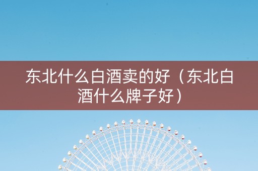 东北什么白酒卖的好（东北白酒什么牌子好）