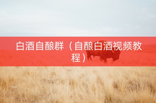白酒自酿群（自酿白酒视频教程）
