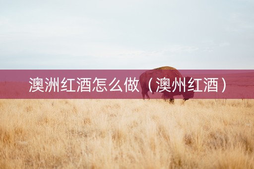 澳洲红酒怎么做(澳州红酒) 澳洲红酒怎么做(澳州红酒)