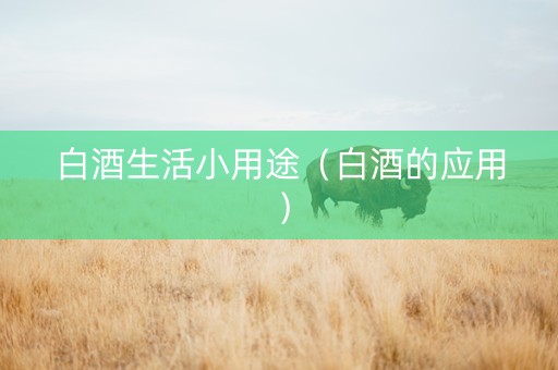 白酒生活小用途(白酒的应用) 白酒生活小用途(白酒的应用)