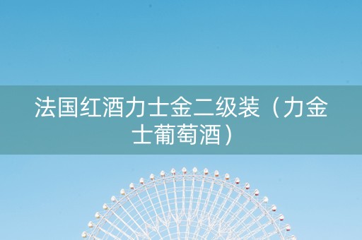 法国红酒力士金二级装（力金士葡萄酒）