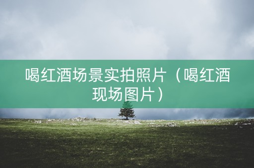 喝红酒场景实拍照片(喝红酒现场图片) 喝红酒场景实拍照片(喝红酒现场图片)
