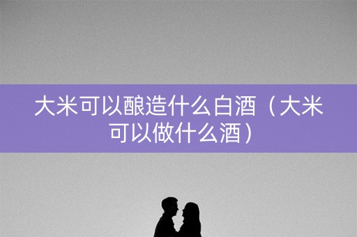 大米可以酿造什么白酒(大米可以做什么酒) 大米可以酿造什么白酒(大米可以做什么酒)