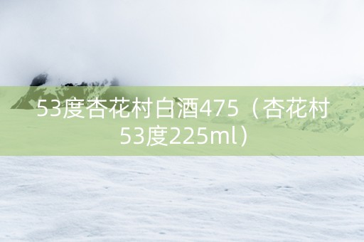 53度杏花村白酒475（杏花村53度225ml）