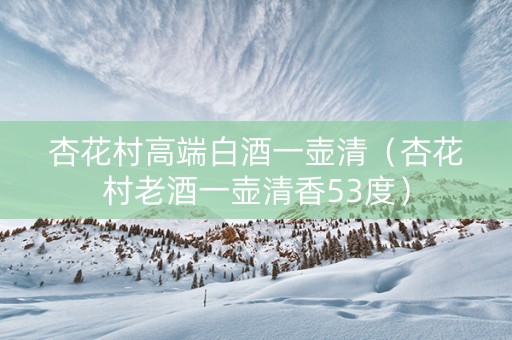 杏花村高端白酒一壶清（杏花村老酒一壶清香53度）