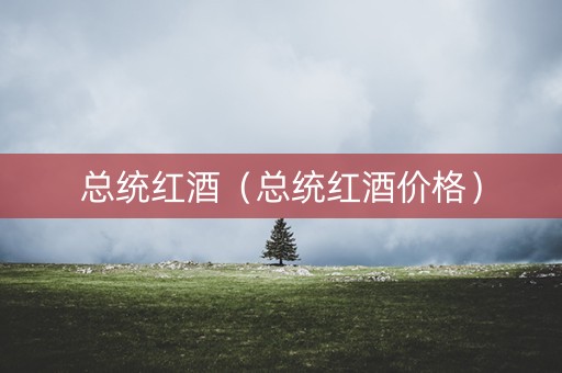 总统红酒(总统红酒价格) 总统红酒(总统红酒价格)