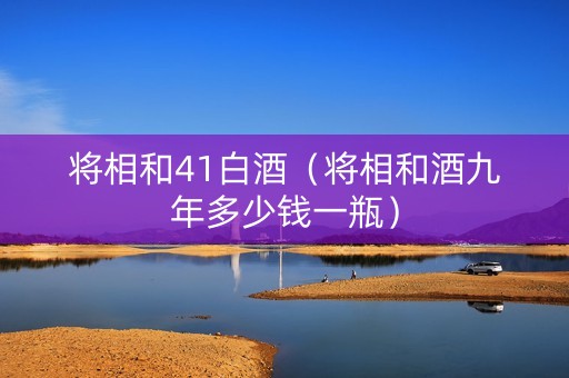 将相和41白酒（将相和酒九年多少钱一瓶）