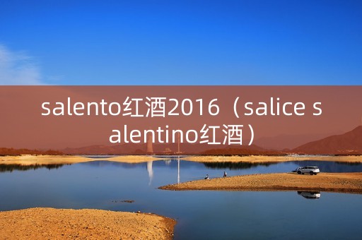 salento红酒2016（salice salentino红酒）