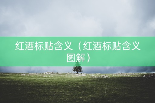 红酒标贴含义（红酒标贴含义图解）