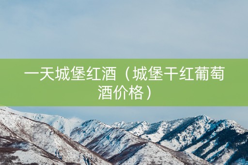 一天城堡红酒（城堡干红葡萄酒价格）