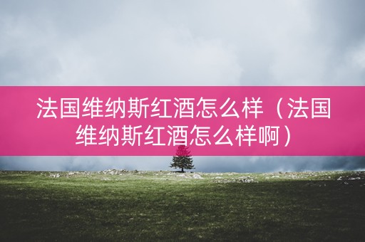 法国维纳斯红酒怎么样（法国维纳斯红酒怎么样啊）