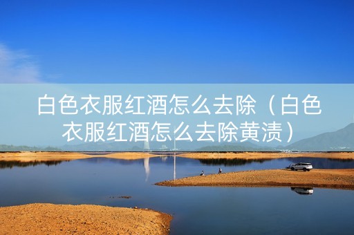 白色衣服红酒怎么去除（白色衣服红酒怎么去除黄渍）