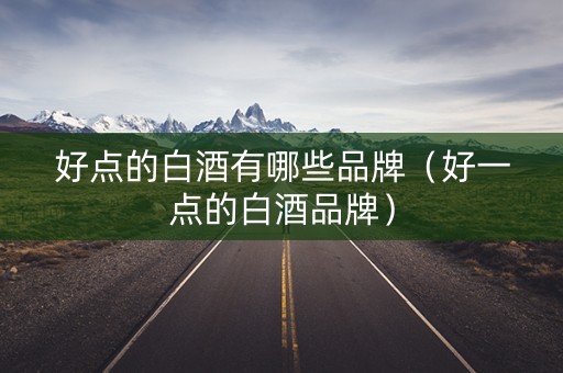 好点的白酒有哪些品牌（好一点的白酒品牌）