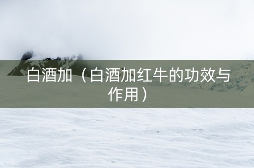 白酒加（白酒加红牛的功效与作用）