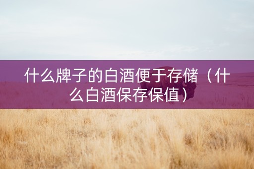 什么牌子的白酒便于存储（什么白酒保存保值）