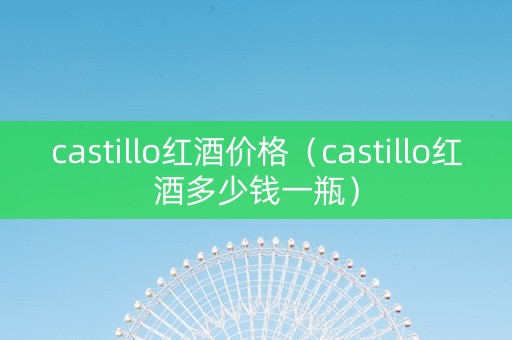 castillo红酒价格（castillo红酒多少钱一瓶）