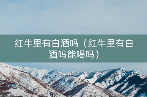 红牛里有白酒吗（红牛里有白酒吗能喝吗）