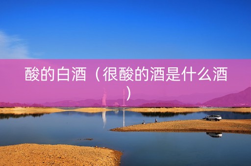 酸的白酒（很酸的酒是什么酒）