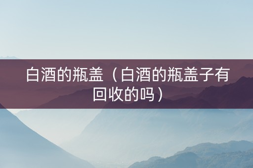白酒的瓶盖（白酒的瓶盖子有回收的吗）