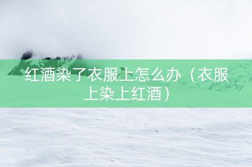 红酒染了衣服上怎么办（衣服上染上红酒）