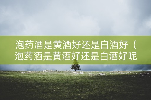 泡药酒是黄酒好还是白酒好（泡药酒是黄酒好还是白酒好呢）