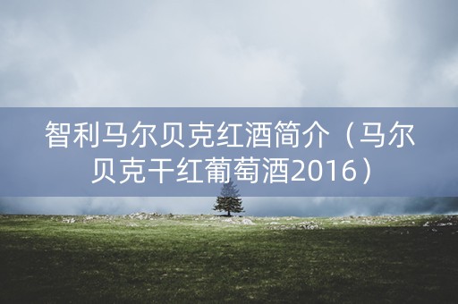 智利马尔贝克红酒简介（马尔贝克干红葡萄酒2016）