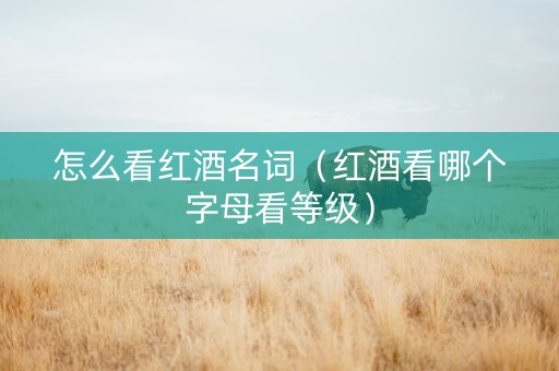 怎么看红酒名词（红酒看哪个字母看等级）