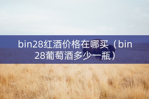 bin28红酒价格在哪买（bin28葡萄酒多少一瓶）