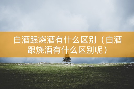 白酒跟烧酒有什么区别（白酒跟烧酒有什么区别呢）