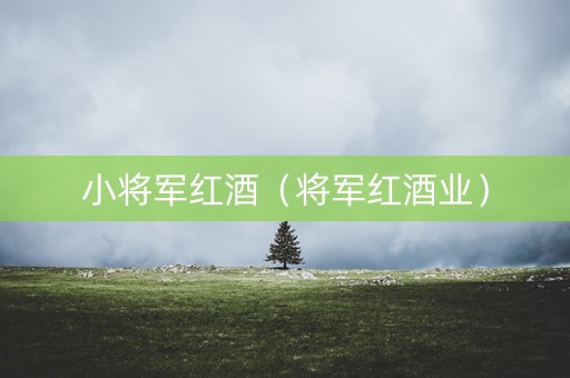 小将军红酒（将军红酒业）