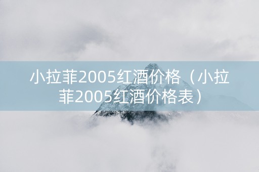 小拉菲2005红酒价格（小拉菲2005红酒价格表）