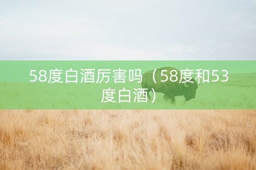 58度白酒厉害吗（58度和53度白酒）