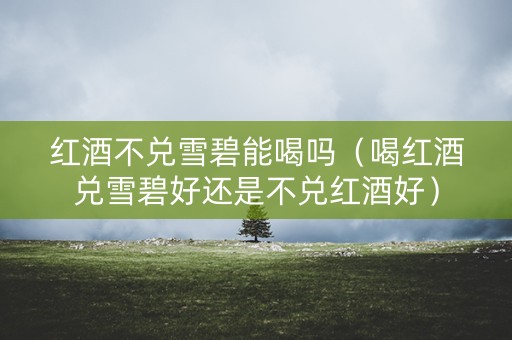 红酒不兑雪碧能喝吗（喝红酒兑雪碧好还是不兑红酒好）