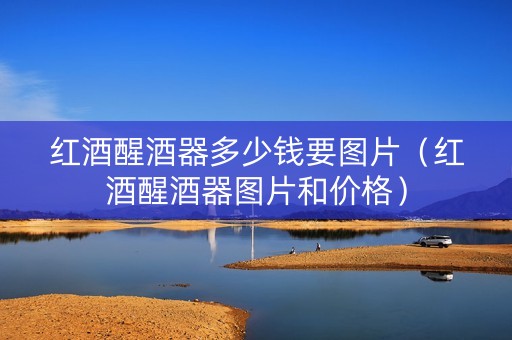 红酒醒酒器多少钱要图片（红酒醒酒器图片和价格）